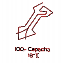  100: Cepacha 