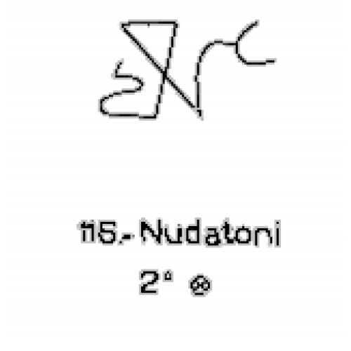  116: Nudatoni 